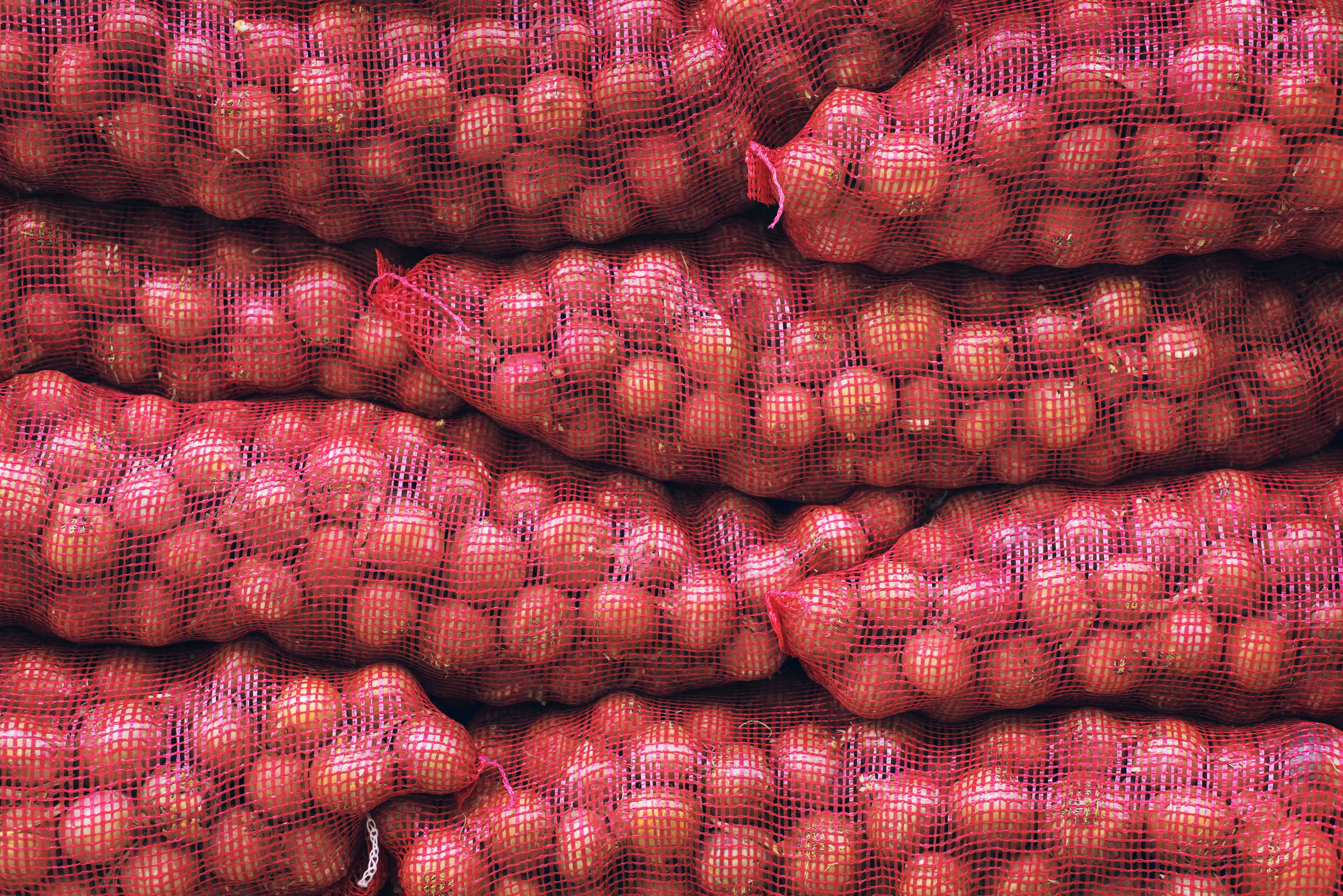 Onions Lead Goods Cleared at MPL as Over 1,000 Tons of Food Cargo Processed Yesterday