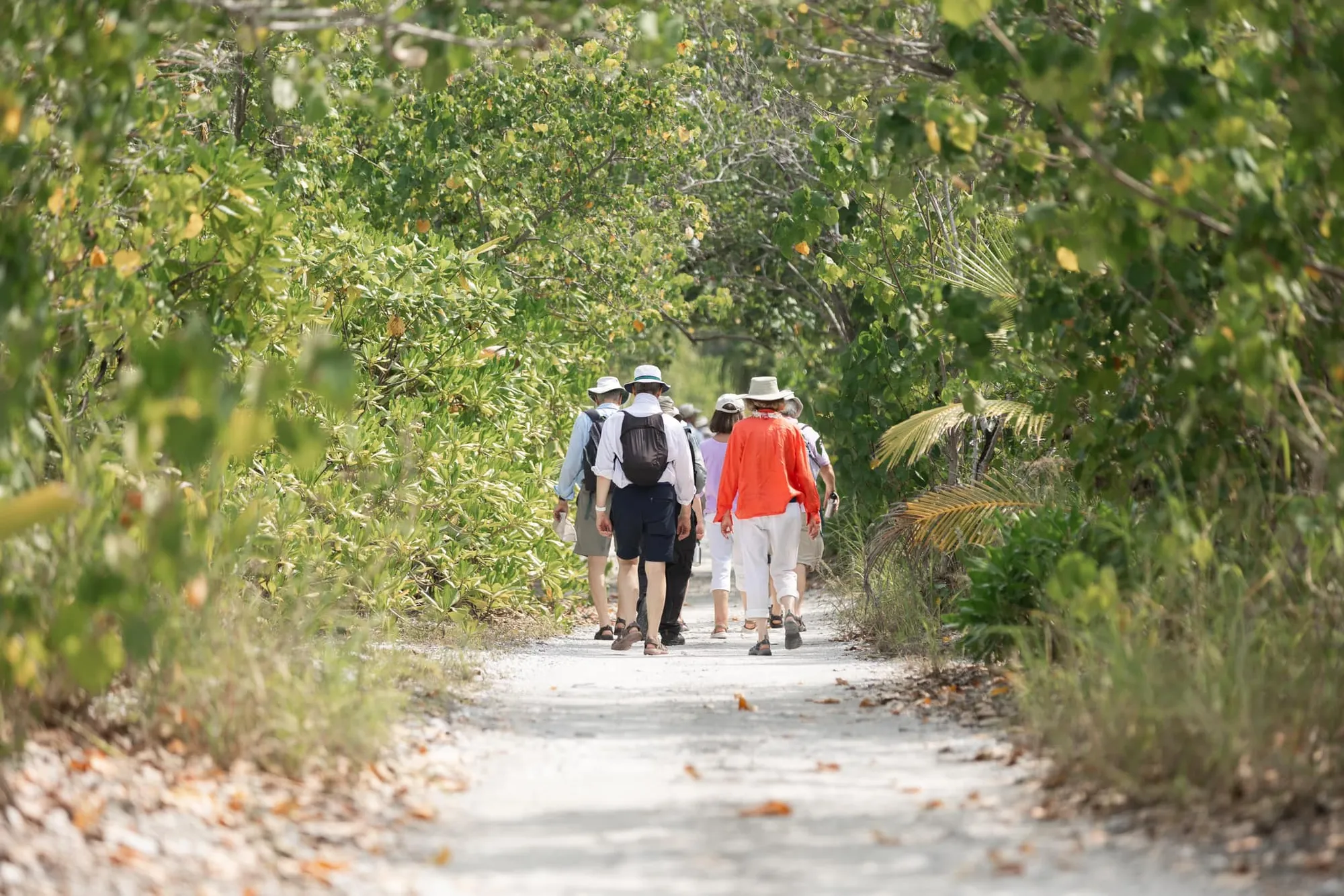 A group of tourists in Addu city (Photo/ Addu city council)