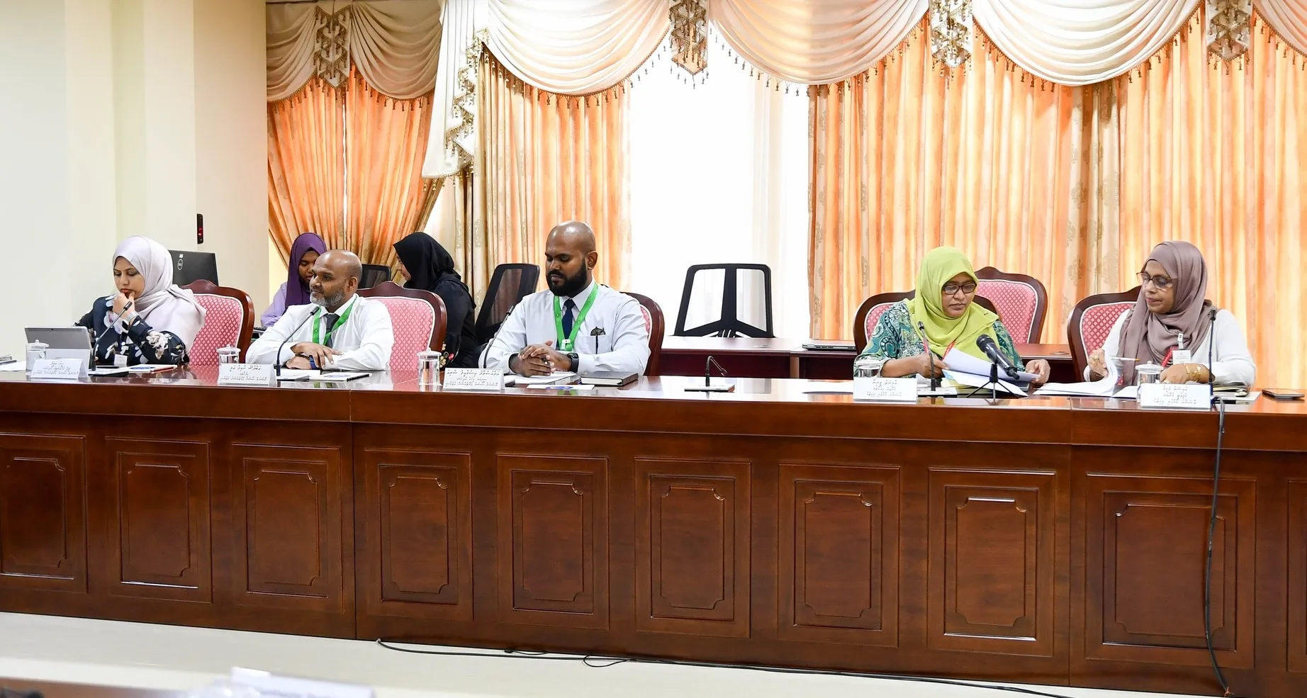 ޔޫއޭއީ އަދި ތައިލެންޑުން އާސަންދަ ލިބޭނޭ ދުވަހެއް ވަރަށް އަވަހަށް އިއުލާނު ކުރާނަން: ހީނާ