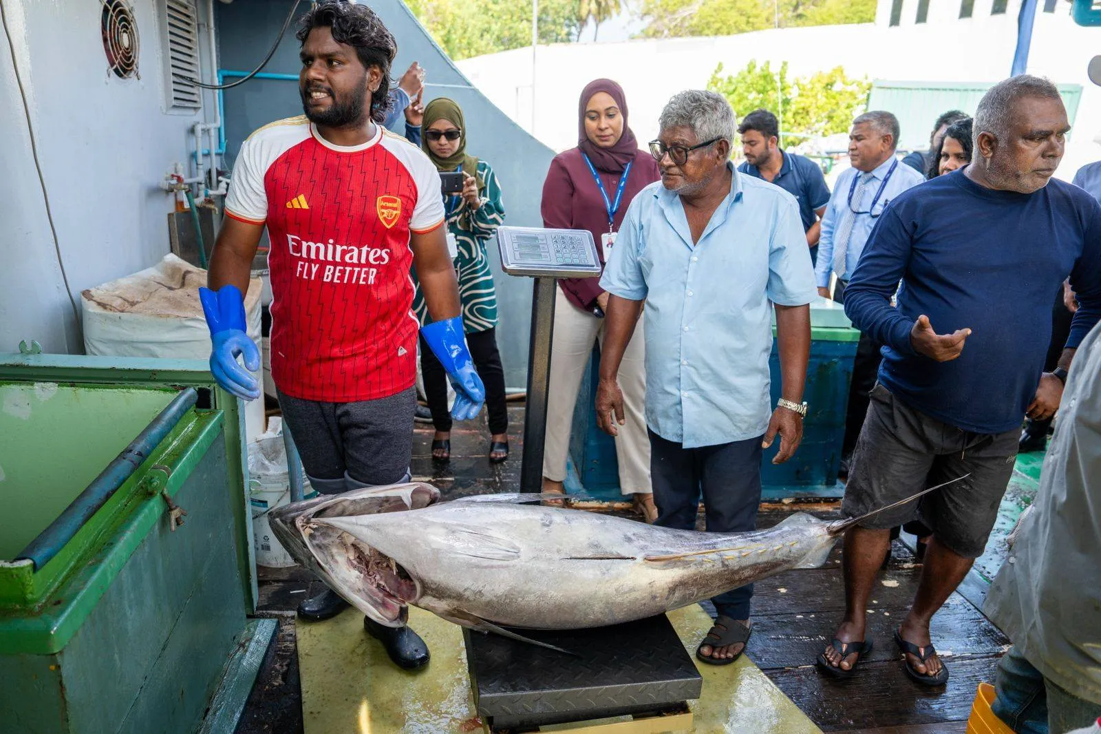 MIFCO Disburses MVR 11.8 Million to Fishermen in Just 14 Days