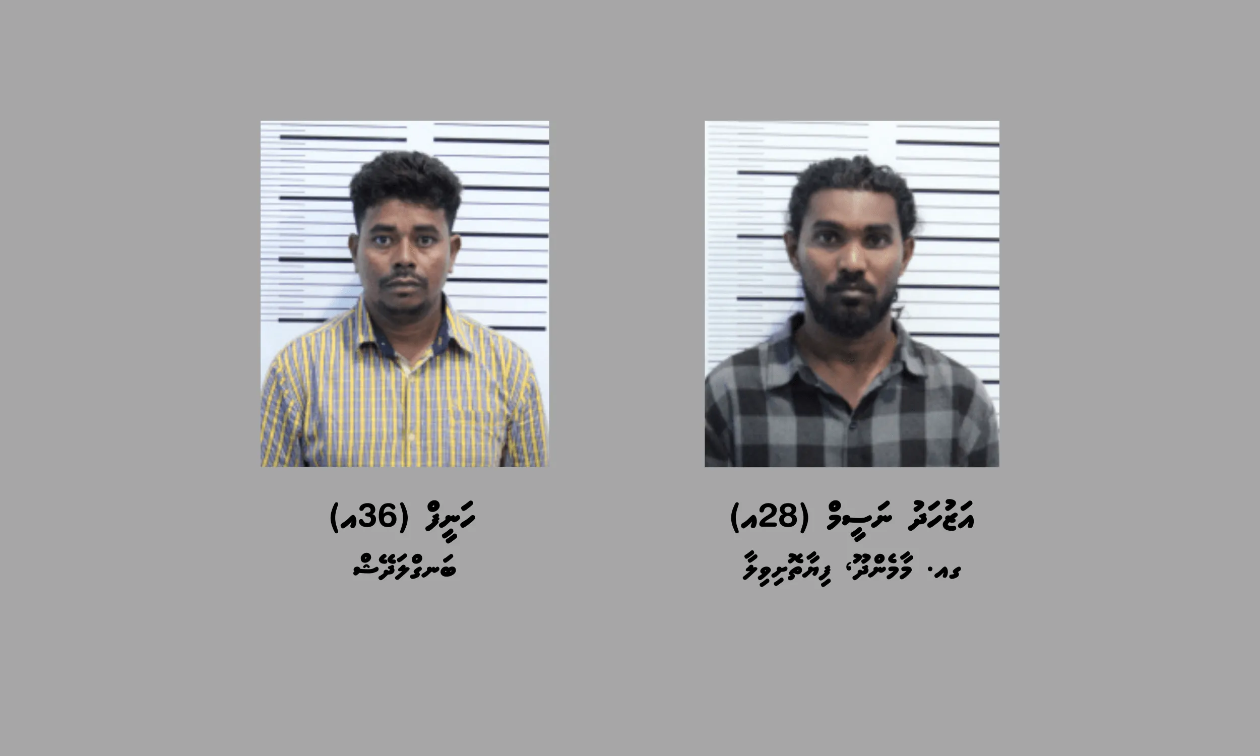 ތިން ކިލޯއަށްވުރެ ގިނަ މަސްތުވާތަކެތި ހޯދައި ދެ މީހަކު ހައްޔަރުކޮށްފި