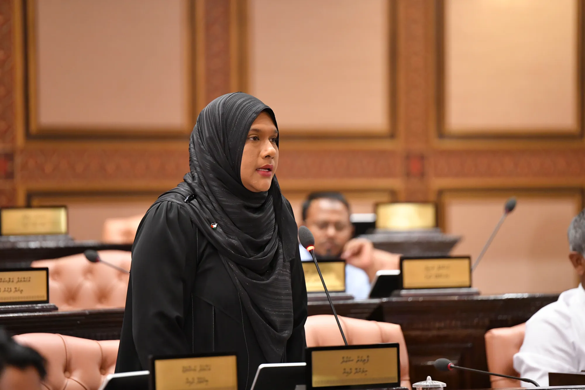 ރައްޔިތުންގެ އިހްސާސްތައް ދަންނަކަމަށްބުނެ ކުރީ ސަރުކާރުން ހިންގާފައި ވަނީ ޖަރިމާއެއް: ސައުދާ