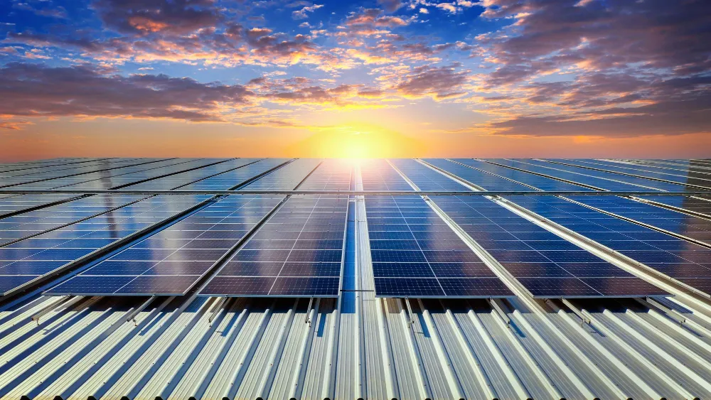 President Muizzu Reaffirms 33 Percent Renewable Energy Target to Drive Economic Transformation