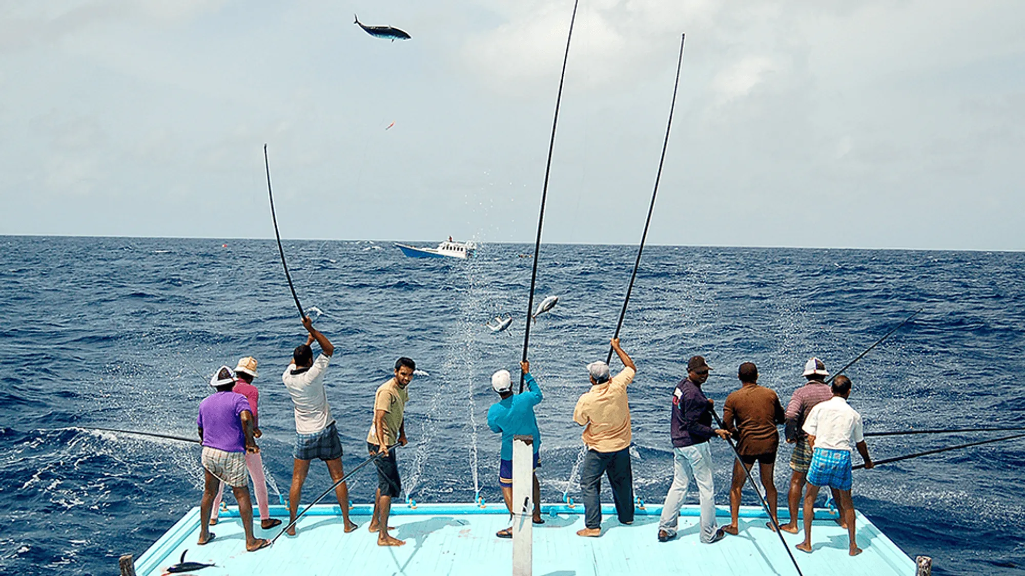 ދިވެހިރާއްޖެއިން އިނގިރޭސިވިލާތަށް ބޭރުކުރާ މަހަށް ނަގާ ޓެރިފް ކަނޑާލުމަކީ ދިވެހި މަހުގެ ބާވަތްތަކަށް އިނގިރޭސިވިލާތުގެ ބާޒާރުގައި ފުރުސަތުތައް ފަހިވެގެންދާނެ ކަމެއް ކަމުގައި ރައީސުލްޖުމްހޫރިއްޔާ ވިދާޅުވެއްޖެ