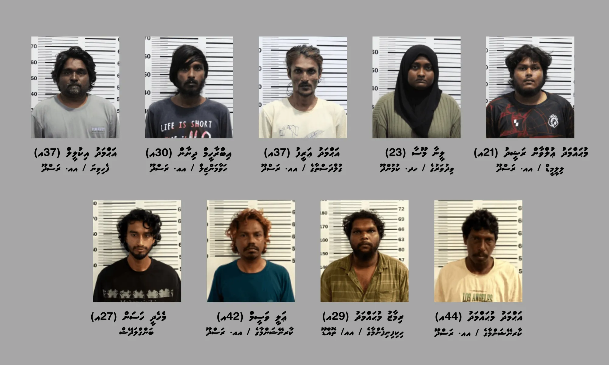 ރަސްދޫގައި ޑްރަގް ވިޔަފާރި ކުރާ ބޮޑު ގްރޫޕެއް އަތުލައިގެންފި، ކުމުންދޫ އަންހެނަކުވެސް ހިމެނޭ