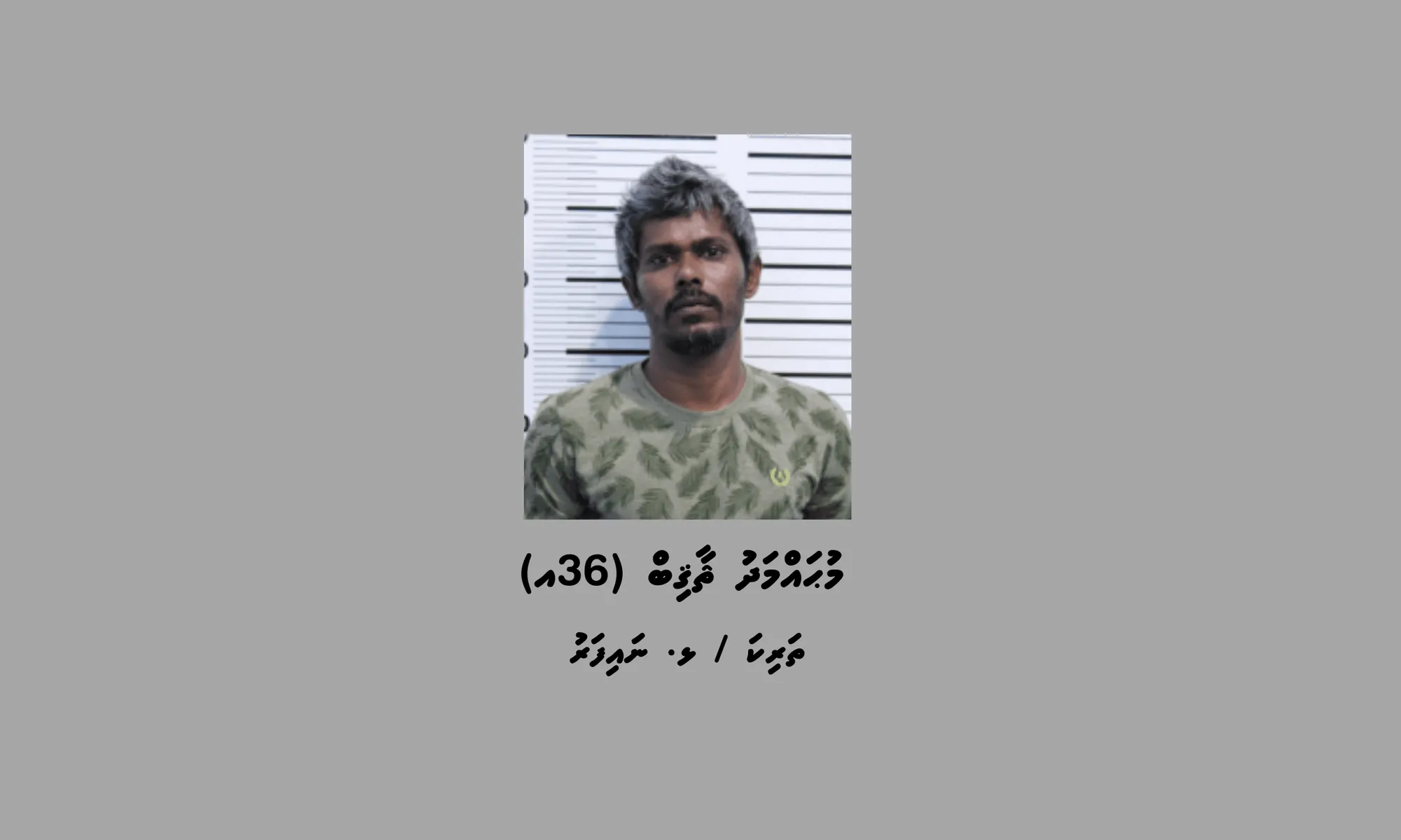 ޑިންގީއެއްގައި ނައިފަރަށް މަސްތުވާތަކެތި ގެންދަން އުޅެނިކޮށް ކަނޑުމަތިން ހައްޔަރުކޮށްފި