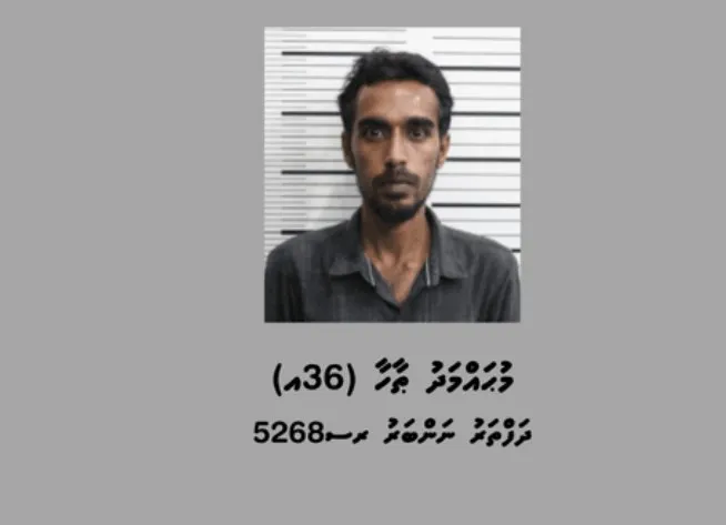 ވިލިނގިލިން ކޮލަމާފުއްޓަށް މަސްތުވާތަކެތި އެތެރެކުރަން އުޅުނު މީހަކު ހައްޔަރުކޮށްފި