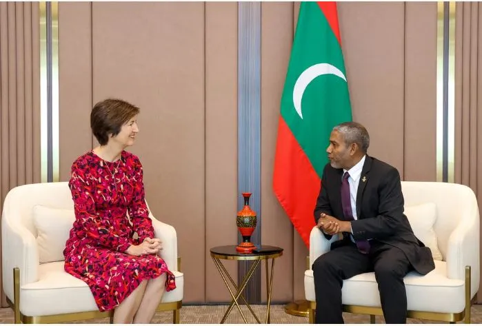 ހަތަރު ޤައުމެއްގެ ސަފީރުން ސަފީރު ކަމުގެ ފަތްކޮޅުގެ ކޮޕީ ޗީފް އޮފް ޕްރޮޓޮކޯލްއާ ހަވާލުކޮށްފި