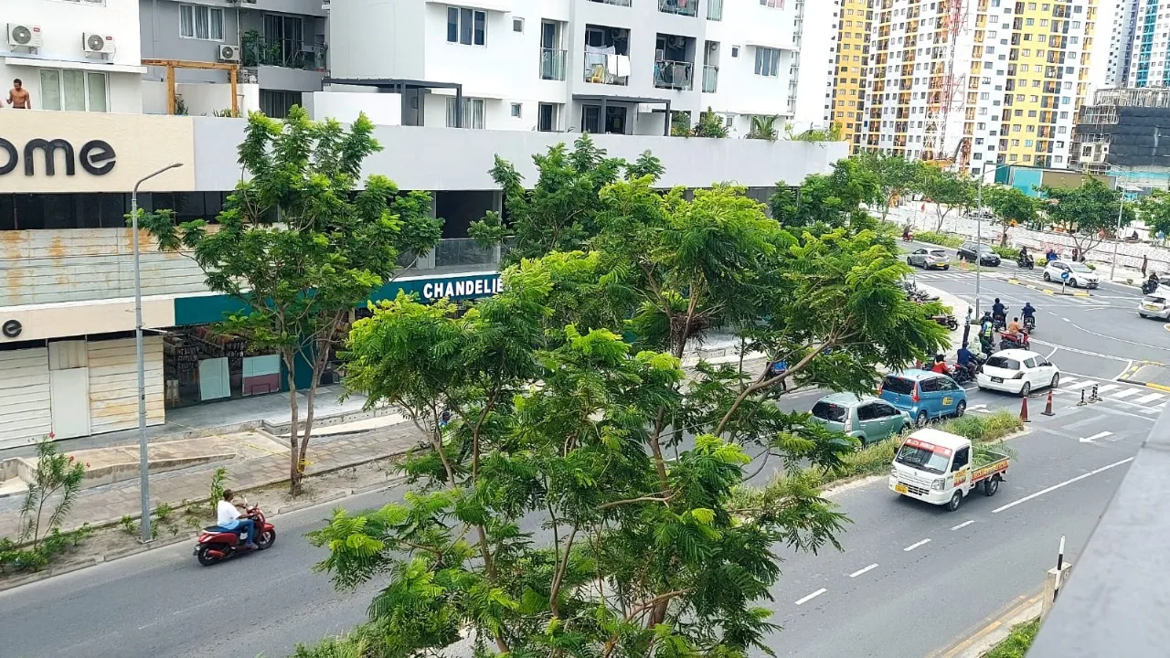 ވިނަރެސް ޓަވަރަކުން މީހަކު ވެއްޓިއްޖެ