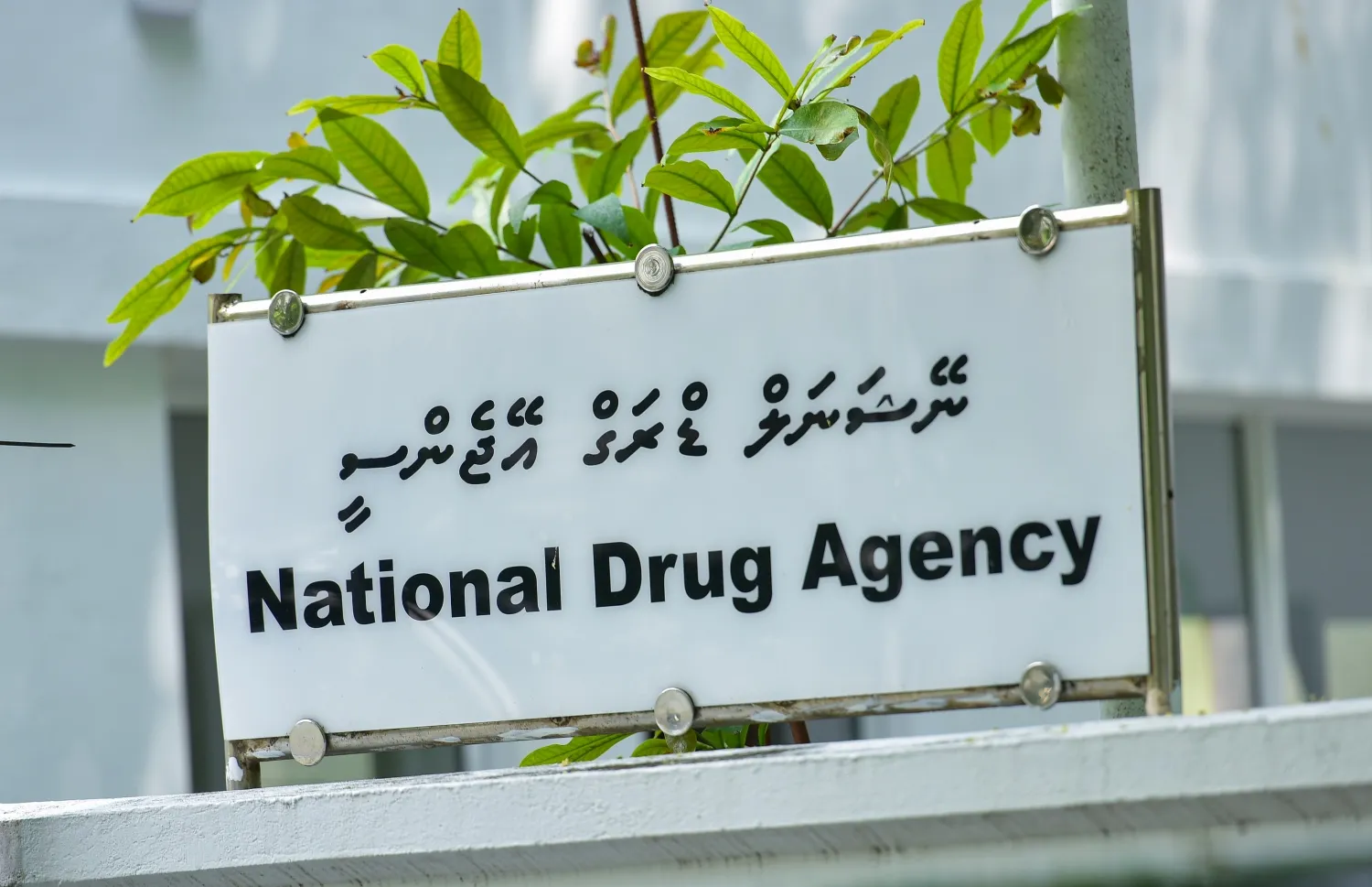ޕާޓީ ޑްރަގާއި މަސްތުވާތަކެތި ބޭނުންކުރުން އިތުރުވާތީ އެންޑީއޭއިން ހަރަކާތްތަކެއް ކުރިއަށްގެންދަނީ
