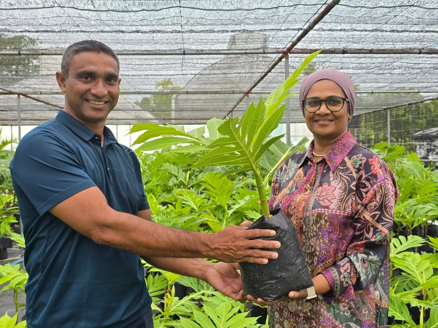 ފުޑް ސެކިއުރިޓީ ޕްރޮގްރާމްގެ ދަށުން ށ އަތޮޅުގެ 4 ރަށަކަށް ހާހަކަށްވުރެ ގިނަ ގަސް