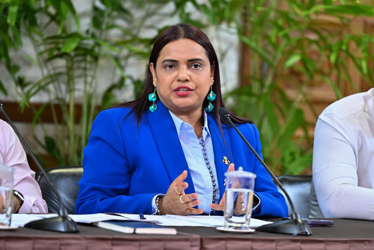 Foreign Minister Says Negative Investment Rhetoric Could Strain Diplomatic Ties