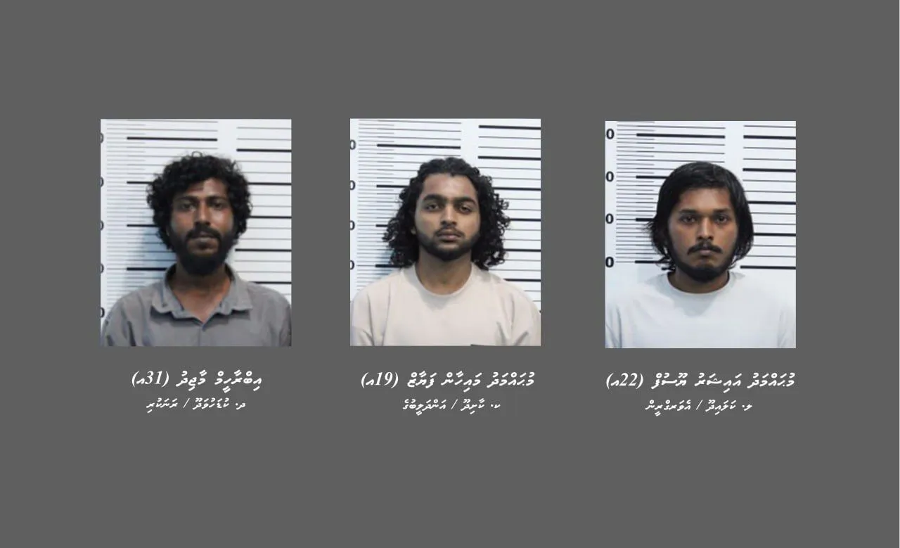 މަސްތުވާތަކެތީގެ ވިޔަފާރިކުރާކަމުގެ ތުހުމަތުގައި މާލެއިން ތިން މީހަކު ހައްޔަރުކޮށްފި