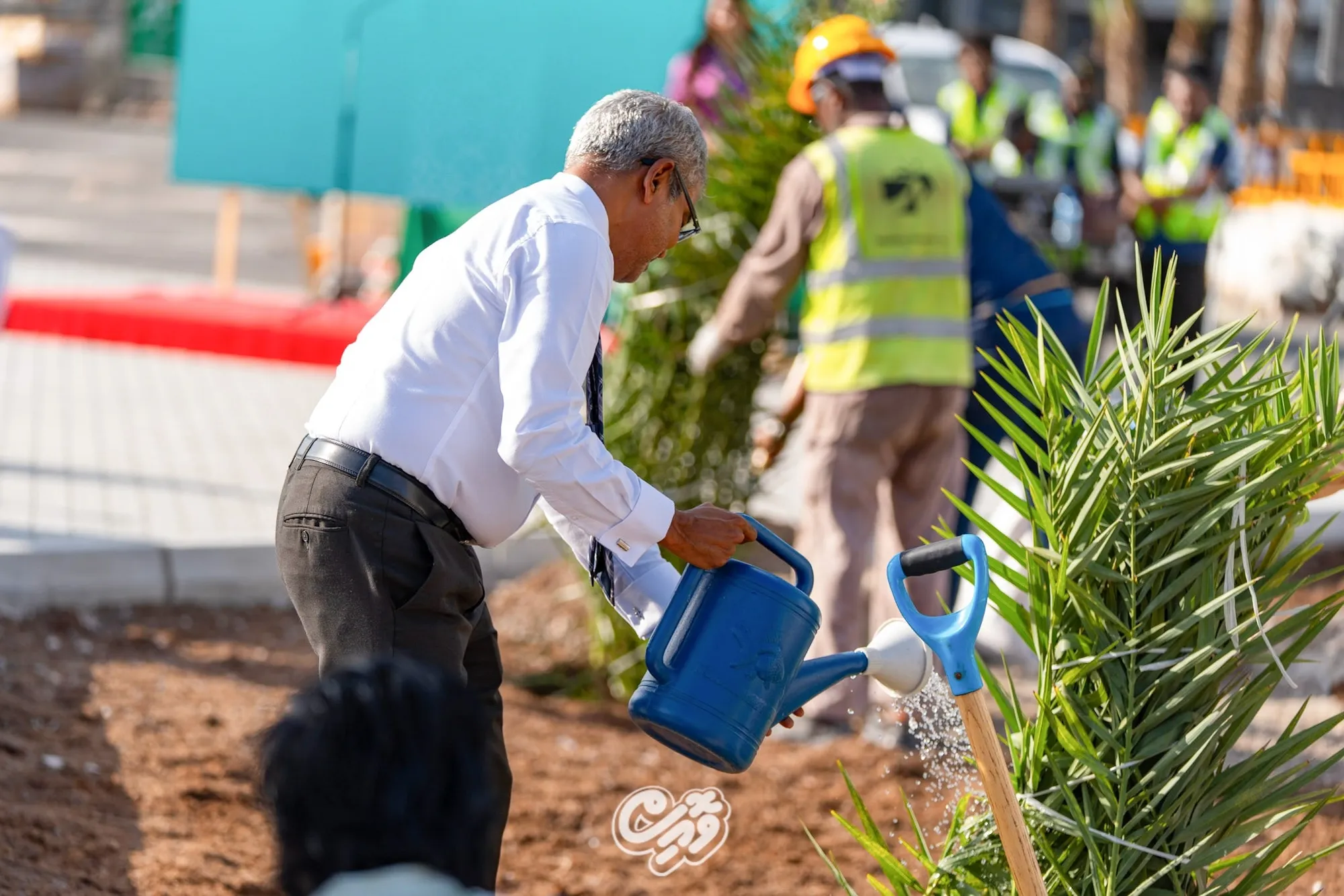 5 މިލިއަން ގަސް ޕްރޮގްރާމަށް އެމްއޭސީއެލުން އެއްލައްކަ ގަސް އިންދުމުގެ މަސައްކަތް ފަށައިފި