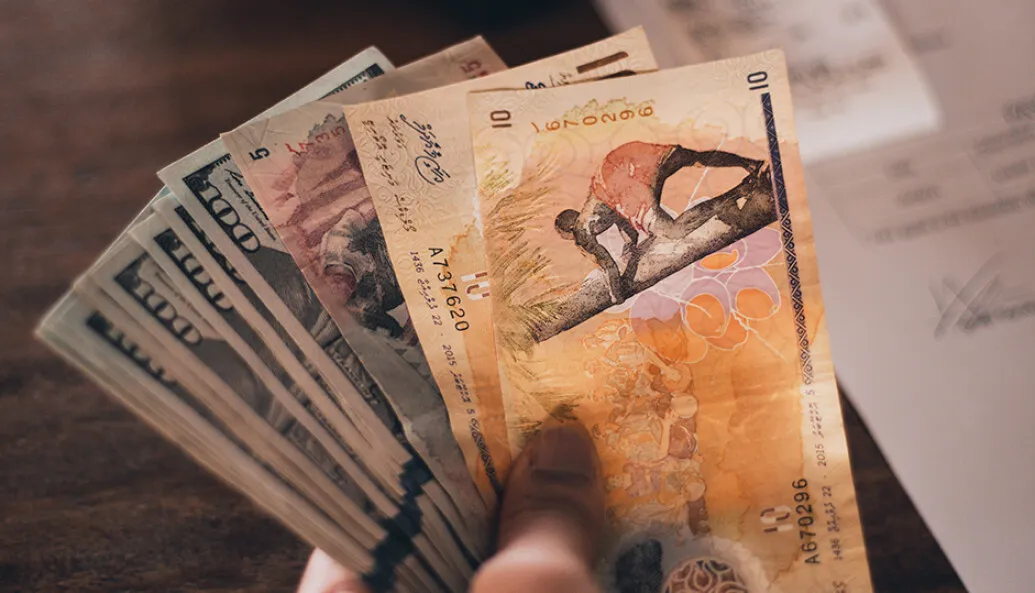Maldivian currency notes and Dollars