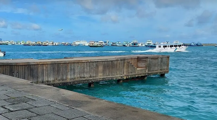 ގަނޑުކުރި ކުކުޅުތަކަކާއި، ޗިކަން ނަގެޓްސް އަދި ފިޔާ ތަކެއްގެ ވެރިފަރާތް ފުލުހުން ހޯދަނީ