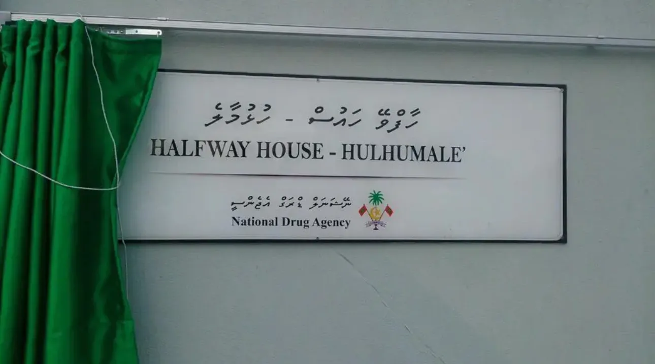 މަސްތުން ސަލާމަތްވުމަށް ފަރުވާ ހޯދަމުންދިޔަ ދެމީހަކު މަސްތުވެގެން ތިއްބާ ހައްޔަރުކޮށްފި