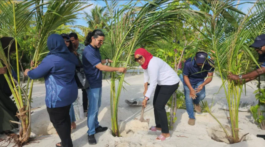 މިފްކޯއިން ކުޑަގިރިއަށް 500 ގަސް ހަދިޔާކޮށްފި
