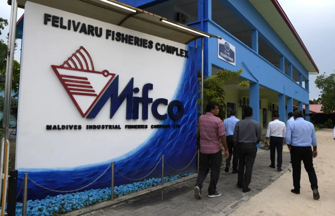 އީޔޫ އިން މިފްކޯ ބްލެކްލިސްޓް ކުރި ވާހަކަ ސަރުކާރުން ދޮގުކޮށްފި