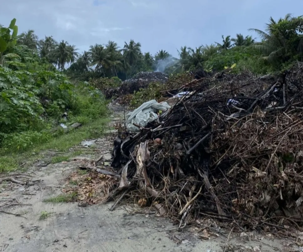 ދިގުރަށު ކުނި ގޮނޑަށް އެއްލާލި ކުއްޖާގެ މަންމަ ކަން ކުރިގޮތް ޕީޖީ އޮފީހުން ކިޔައިދީފި!