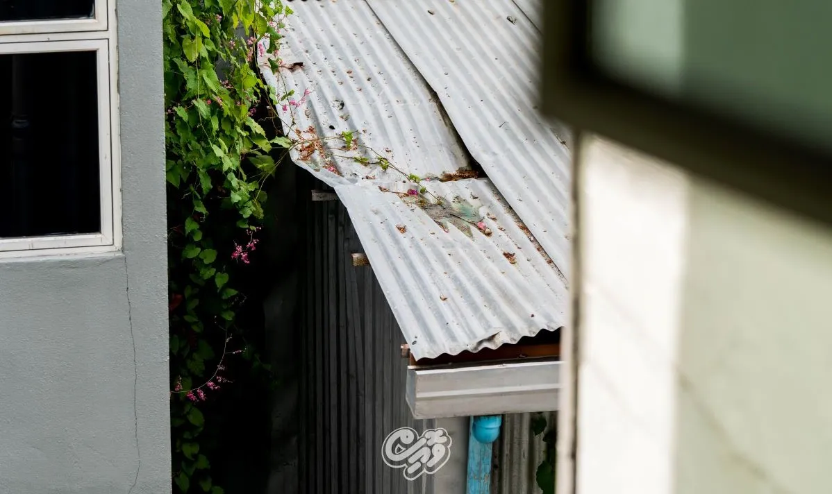 The roof onto which the woman fell (Photo/Voice)