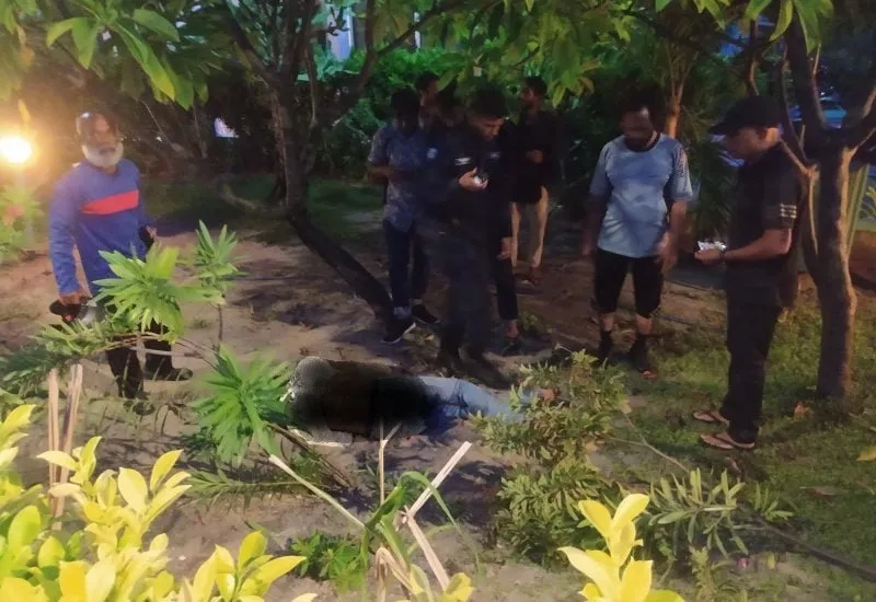 ދެ ސައިކަލްޖެހި ނުރައްކާތެރި އެކްސިޑެންޓެއް؛ އެކަކަށް ހޮސްޕިޓަލުގައި ފަރުވާ ދެނީ