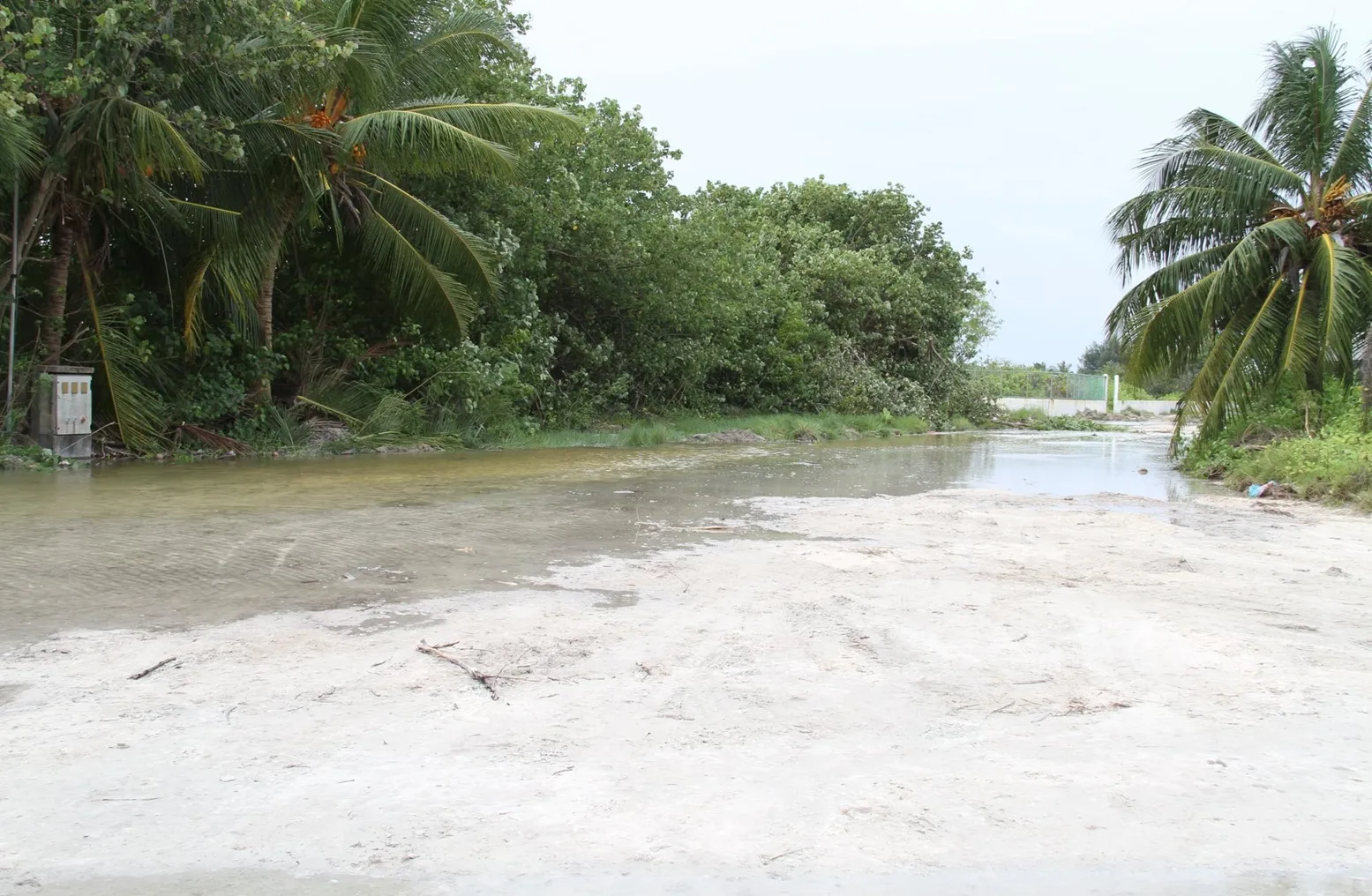 ރާއްޖޭގެ އެންމެ ދެކުނަށް ވައިޓް އެލާޓް ނެރެފި