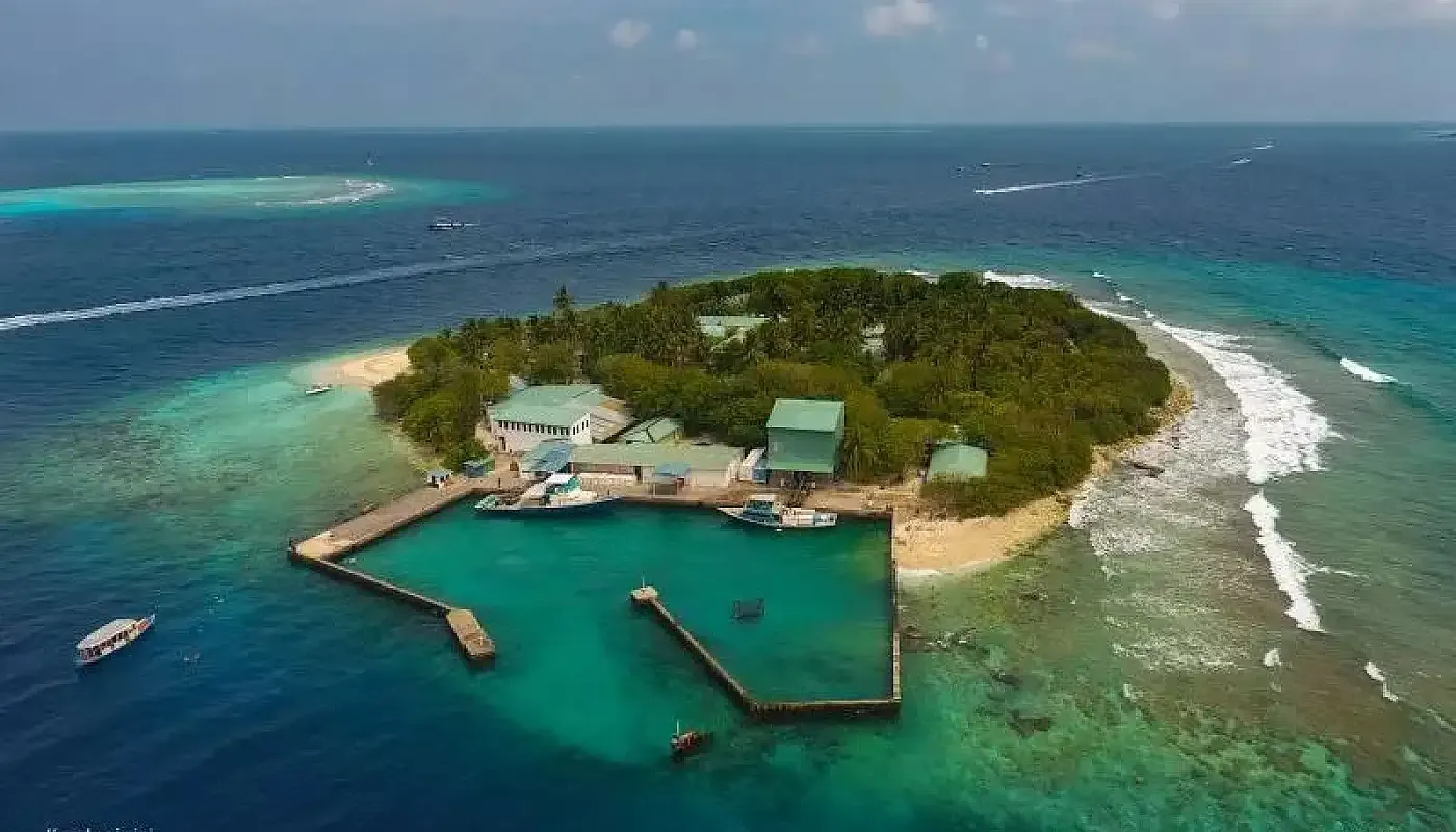 މިފްކޯގެ މަސް ކާރުޚާނާ ހިންގި ކަނޑުއޮތްގިރި އެމްއެންޑީއެފްއަށް ދީފި