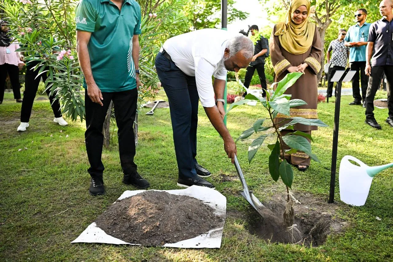 ފަސް މިލިއަން ގަސްއިންދުމުގެ ޕްރޮގްރާމް ރައީސުލްޖުމްހޫރިއްޔާގެ ދެކަނބަލުން، އިފުތިތާހުކޮށްދެއްވައިފި
