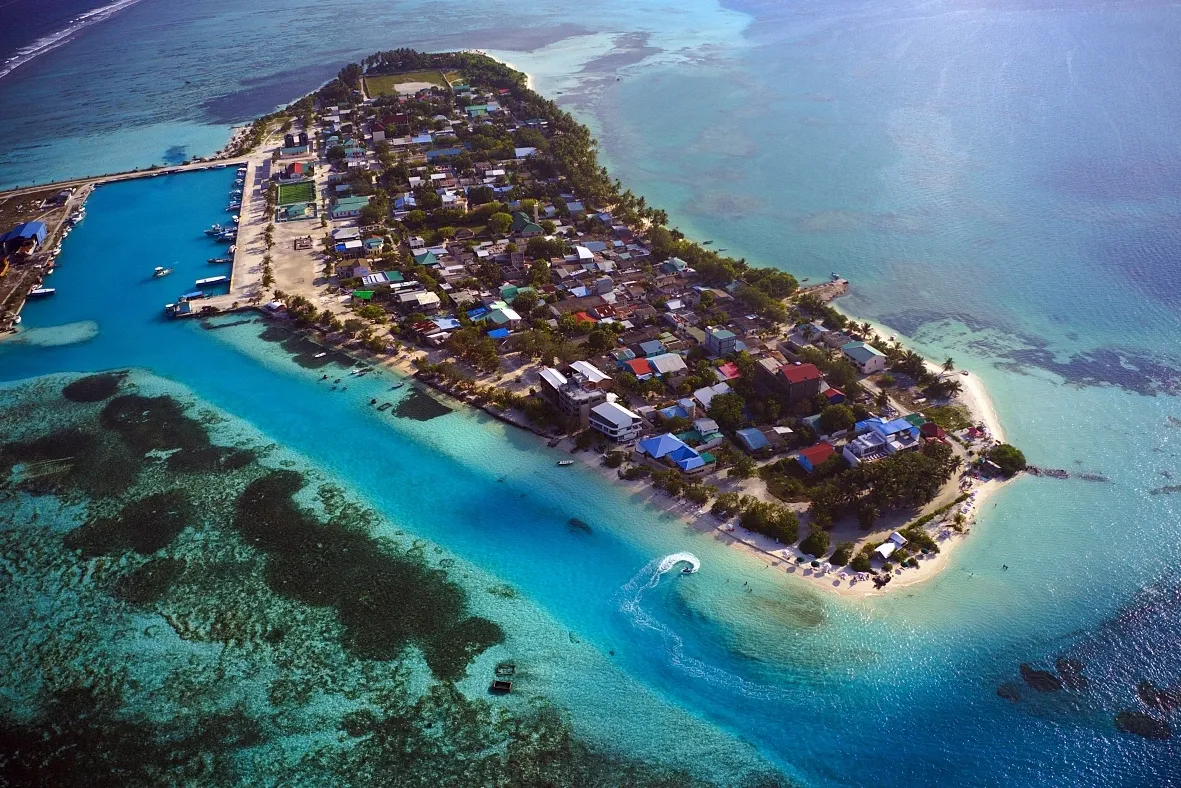 ދިއްފުށީގައި ސްނޯކްލިން އަށް ދިޔަ ޒުވާނަކަށް މިޔަރެއް ހަމަލާދީފި