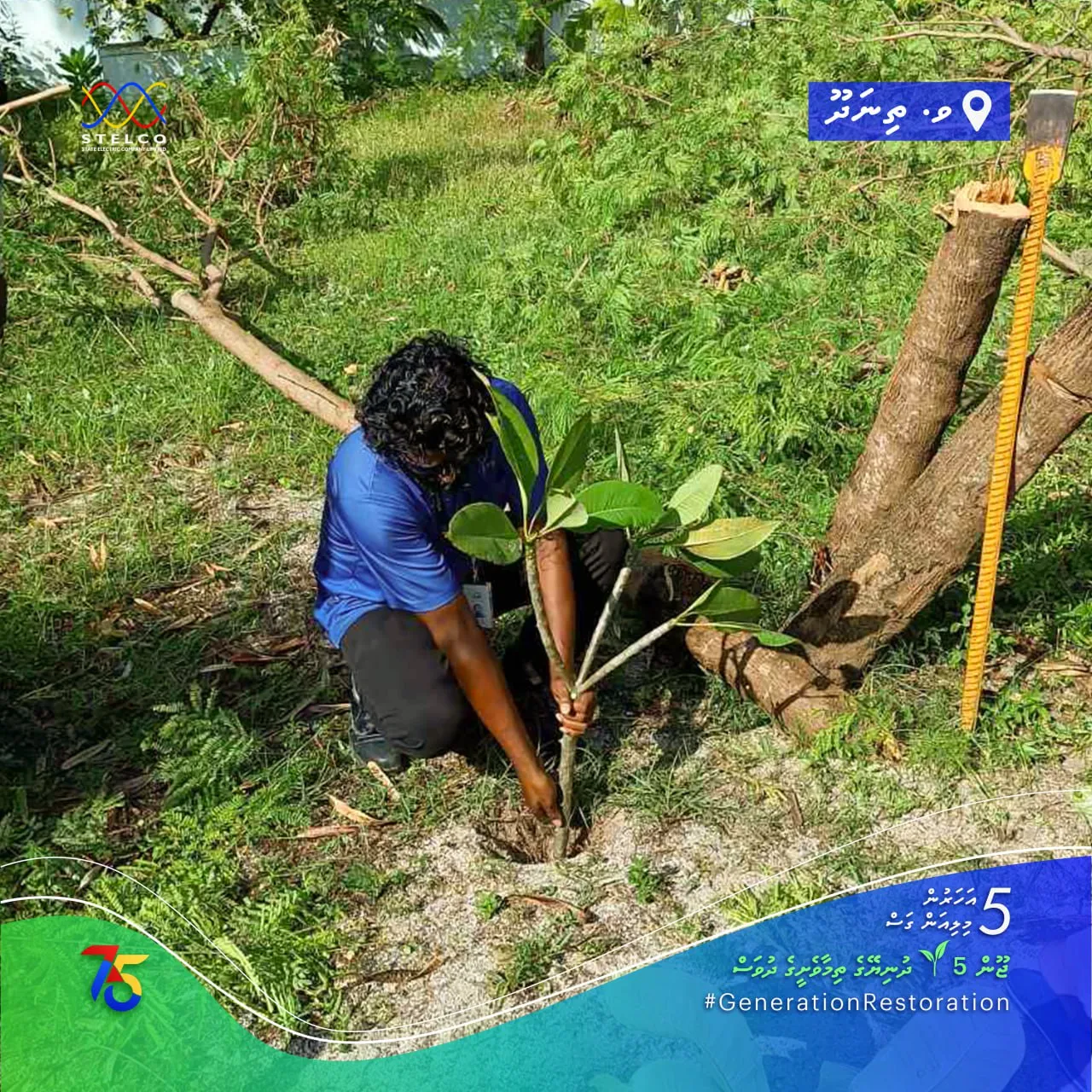 ފަސް މިލިއަން ގަސް އިންދުމުގެ ޕްރޮގްރާމްގެ ދަށުން ސްޓެލްކޯއިން 21,000 ގަސް އިންދައިފި!