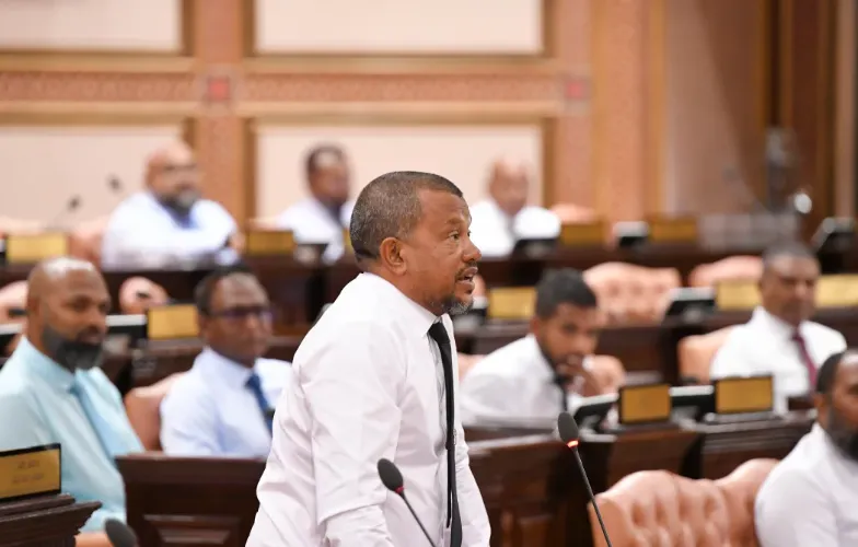އިޒްރޭލު ޕާސްޕޯޓު މައްސަލަ ލަސްވާތީ އެމްޑީޕީގެ ގަރާރެއް މަޖިލީހަށް