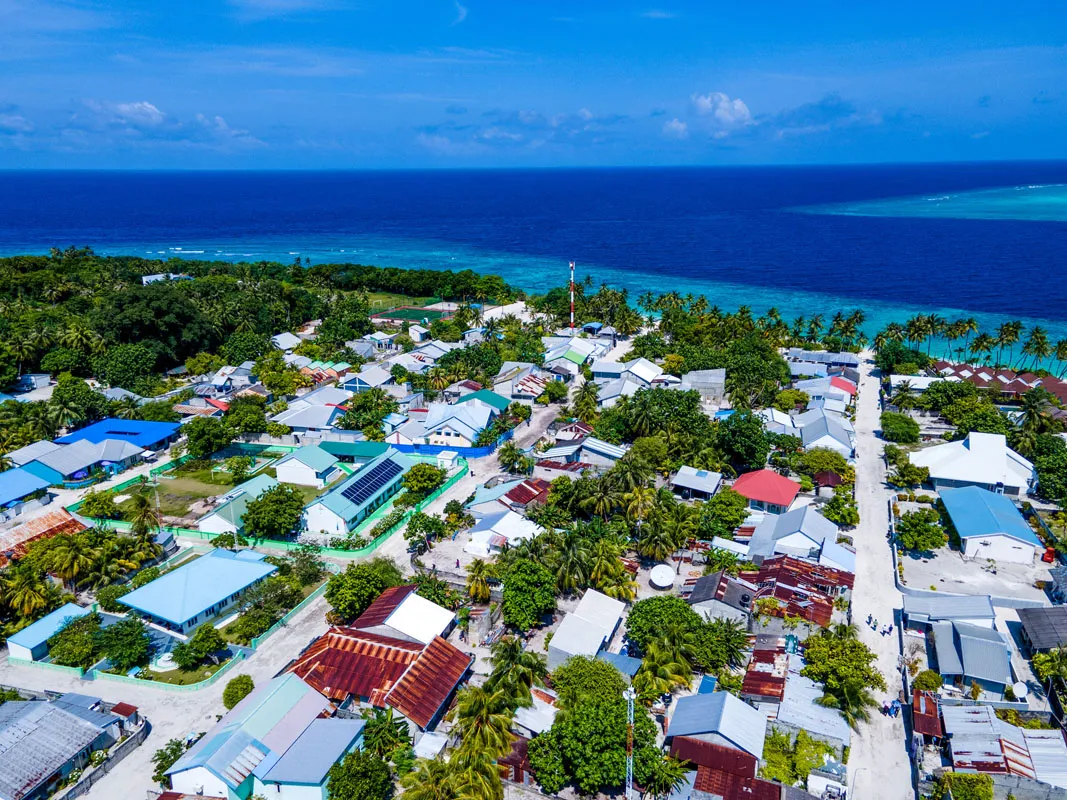 ނ. ފޮއްދޫގައި ބުޅާ ގިނަވެ، ދިރޭ ތަކެއްޗަށް ކާން އެޅޭނެ ވަކި ސަރަހައްދެއް ކައުންސިލުން ކަނޑައަޅައިފި 