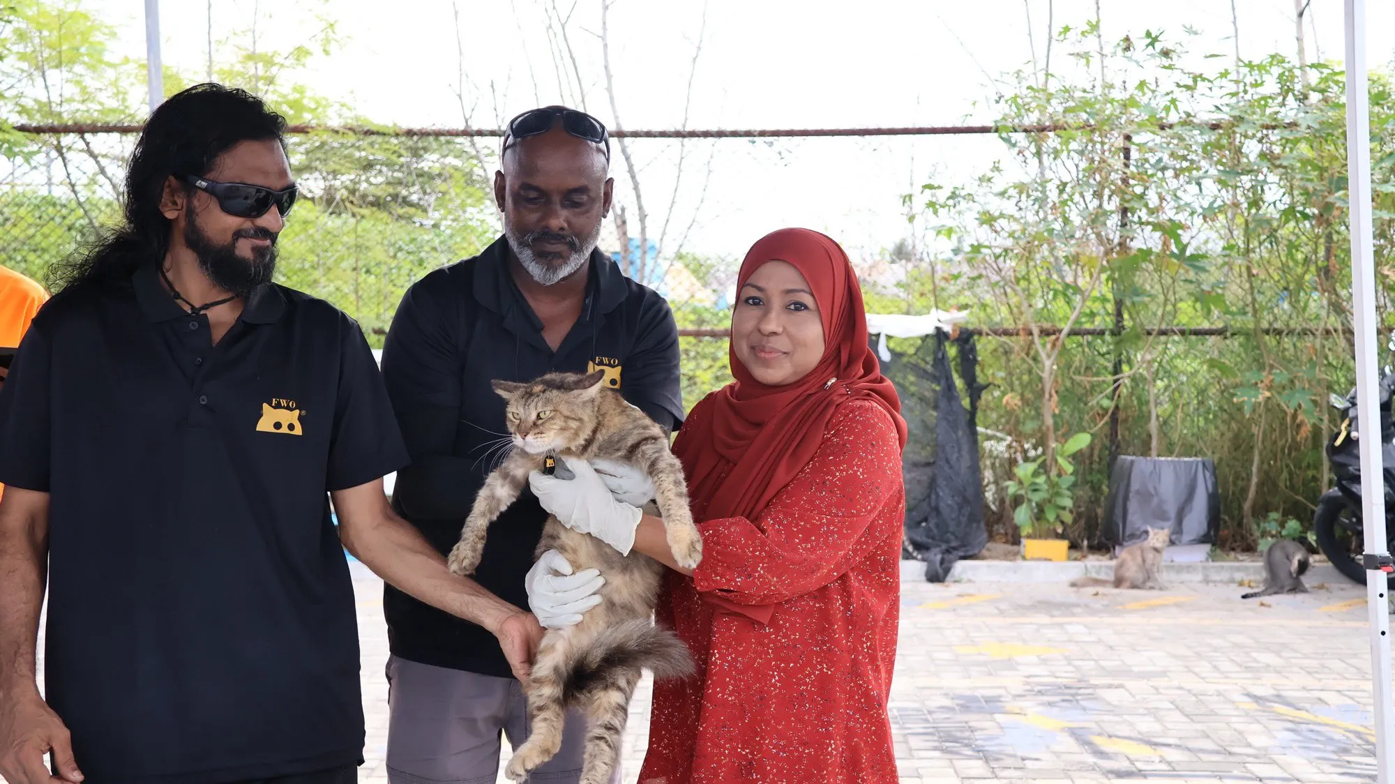 މާލޭގައި އުޅޭ ބުޅާތައް ރަޖިސްޓްރީ ކުރަން ފަށައިފި