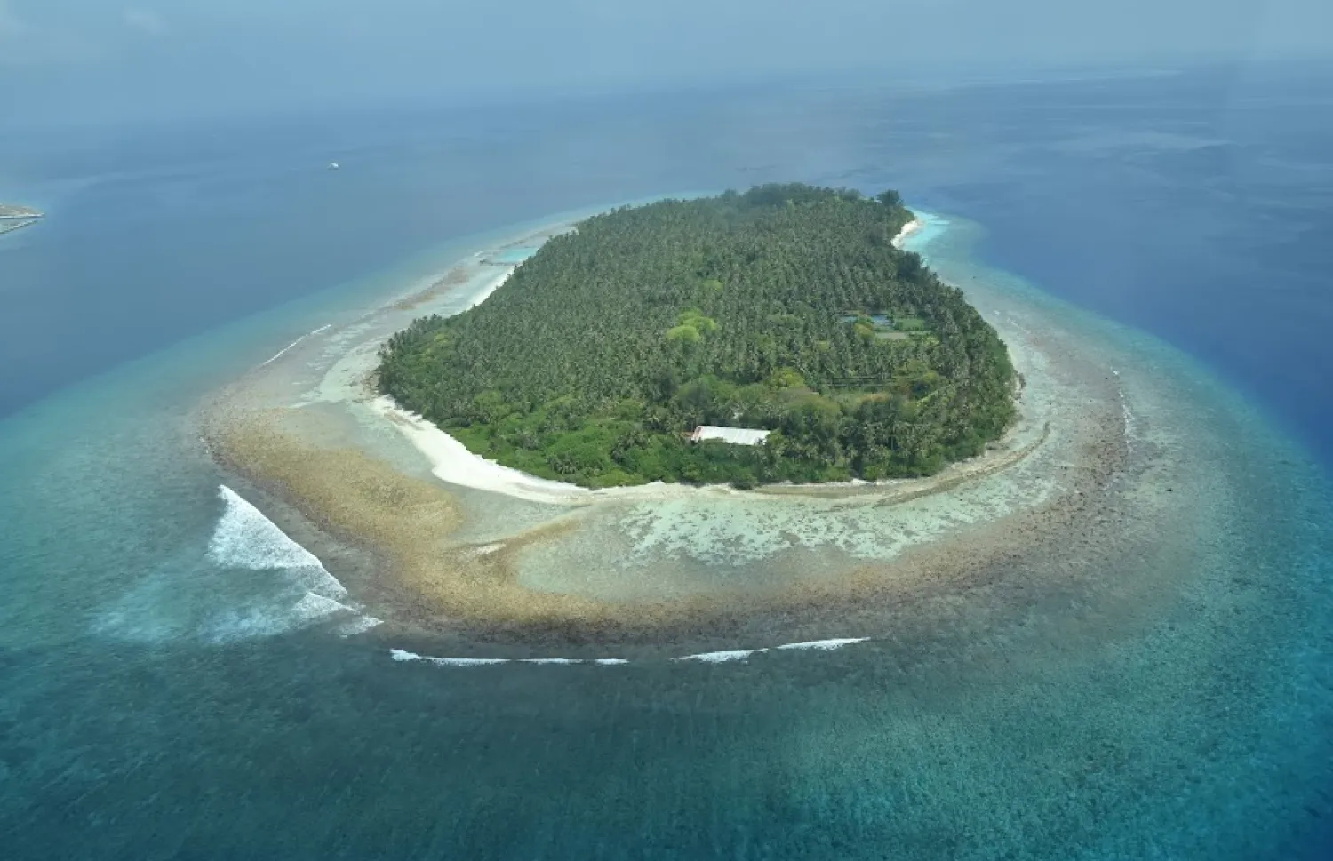 އަރިޔަދޫގައި ރުކުގެ ނާސަރީތަކެއް ހަދާ ތަފާތު މުޑުވައްތައް އުފައްދަނީ