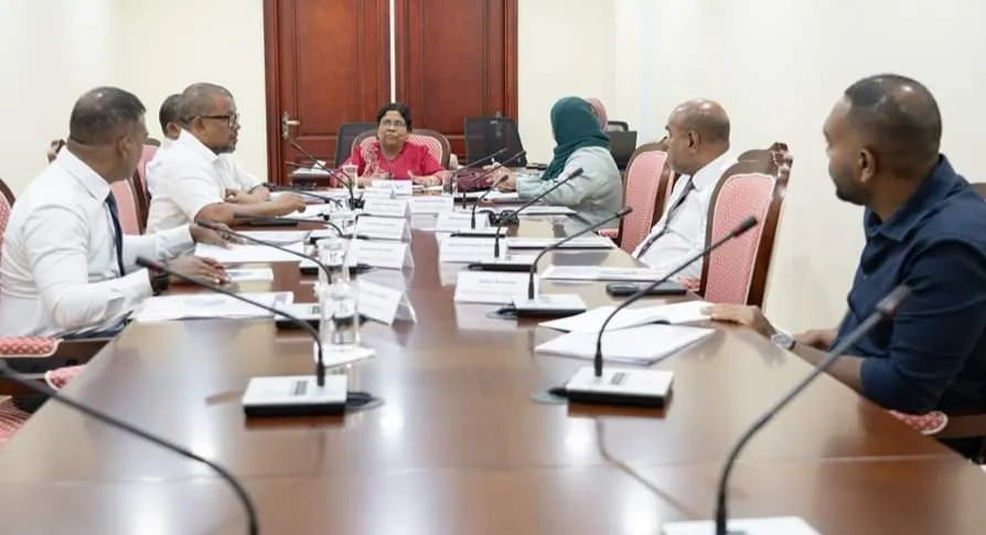 ވޭޕް މަނާކުރާ ބިލް ކޮމިޓީން ފާސްކޮށްފި