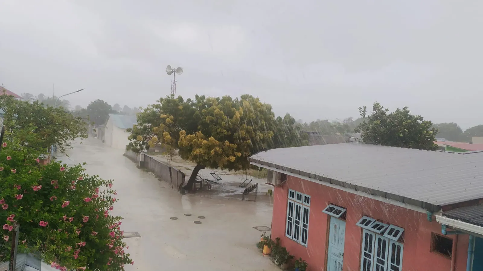 މޫސުން އަލިވާނީ ބުދަ ދުވަހުގެ ފަހުން: މެޓް