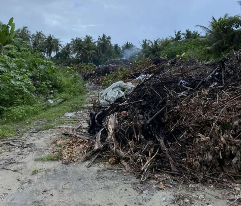 ދިގުރަށު ކުނިގޮނޑުން ފެނުނު ކުއްޖާގެ ހަށިގަނޑާމެދު ކަންކުރާނެ ގޮތާމެދު ޢާއިލާއާ މަޝްވަރާކުރަނީ