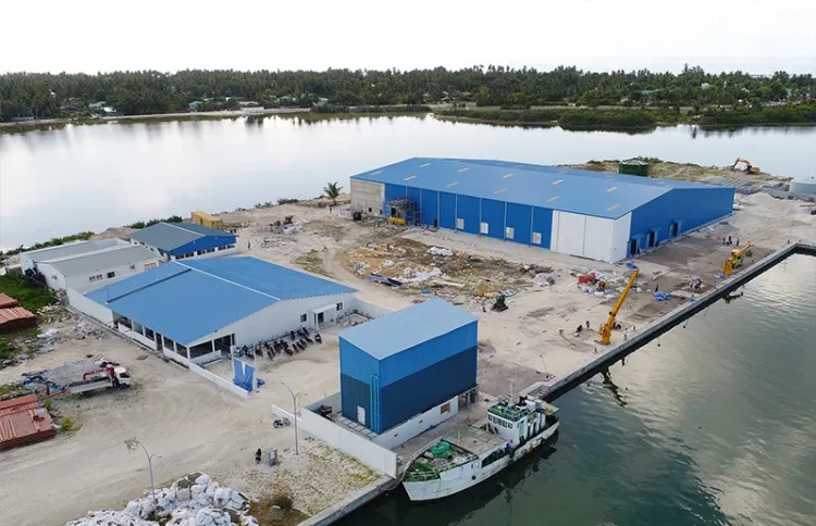 އައްޑޫސިޓީން މަހުގެ ބާވަތްތައް ބޭރުކުރުމުގެ މަސައްކަތް ފެށުމަށް މިފްކޯއިން ތައްޔާރުވަނީ