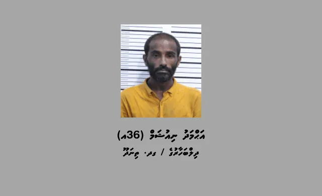 އިމިގްރޭޝަން ގުދަނުން ވައްކަން ކުރި ކަމަށް ތުހުމަތުވާ މީހަކު، ވަގަށް ނެގި ތަކެތި ވިއްކަން ހުއްޓާ ހައްޔަރުކޮށްފި