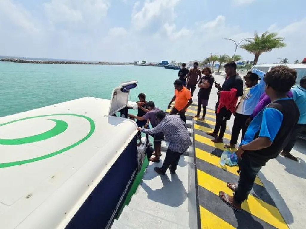 މިޔަރެއް ހަމަލާދީ މީހެއްގެ އަތް ވަރަށް ބޮޑަށް ޒަހަމްކޮށްލައިފި
