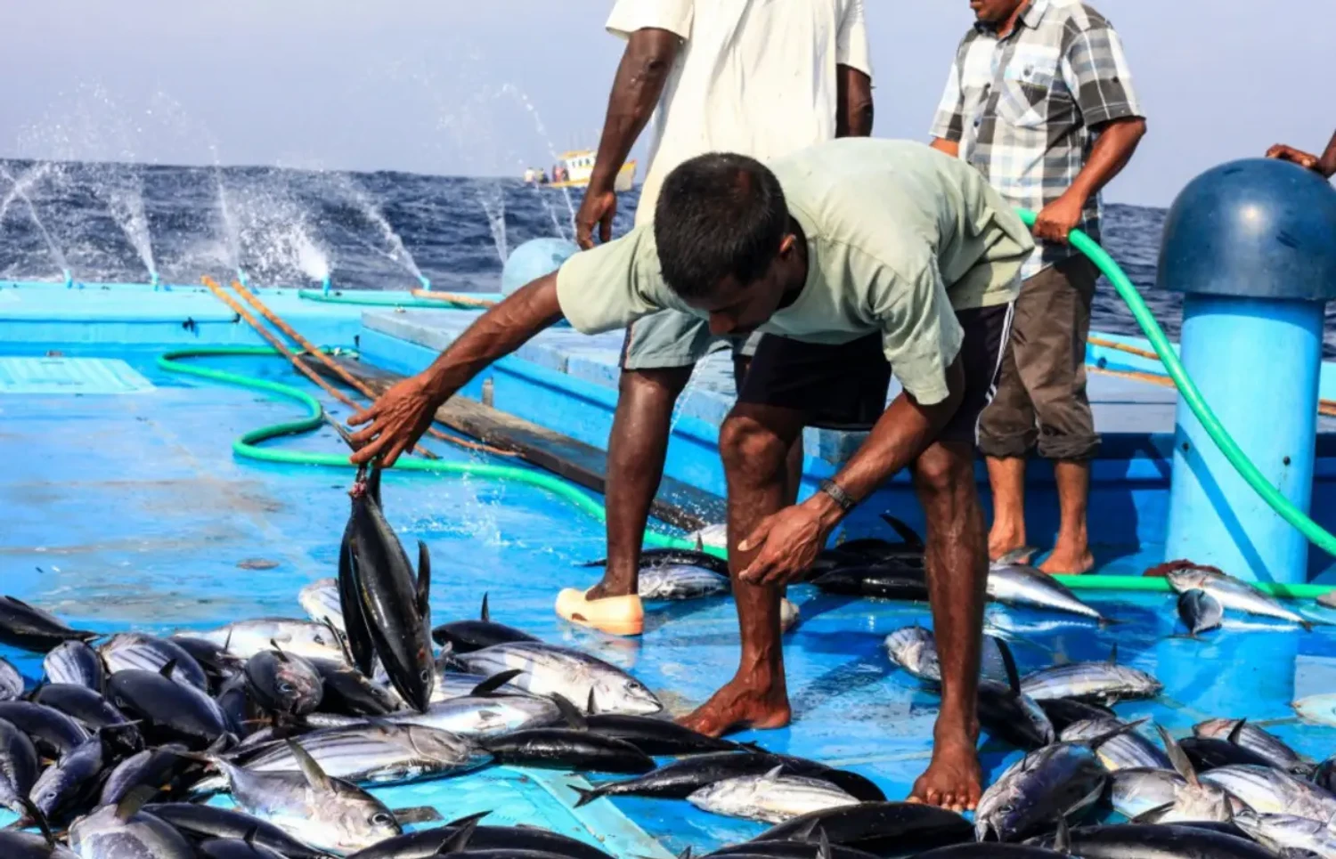 119 މަސްވެރިއަކަށް، 15 މިލިއަން ރުފިޔާގެ ލޯނު ދޫކޮށްފި
