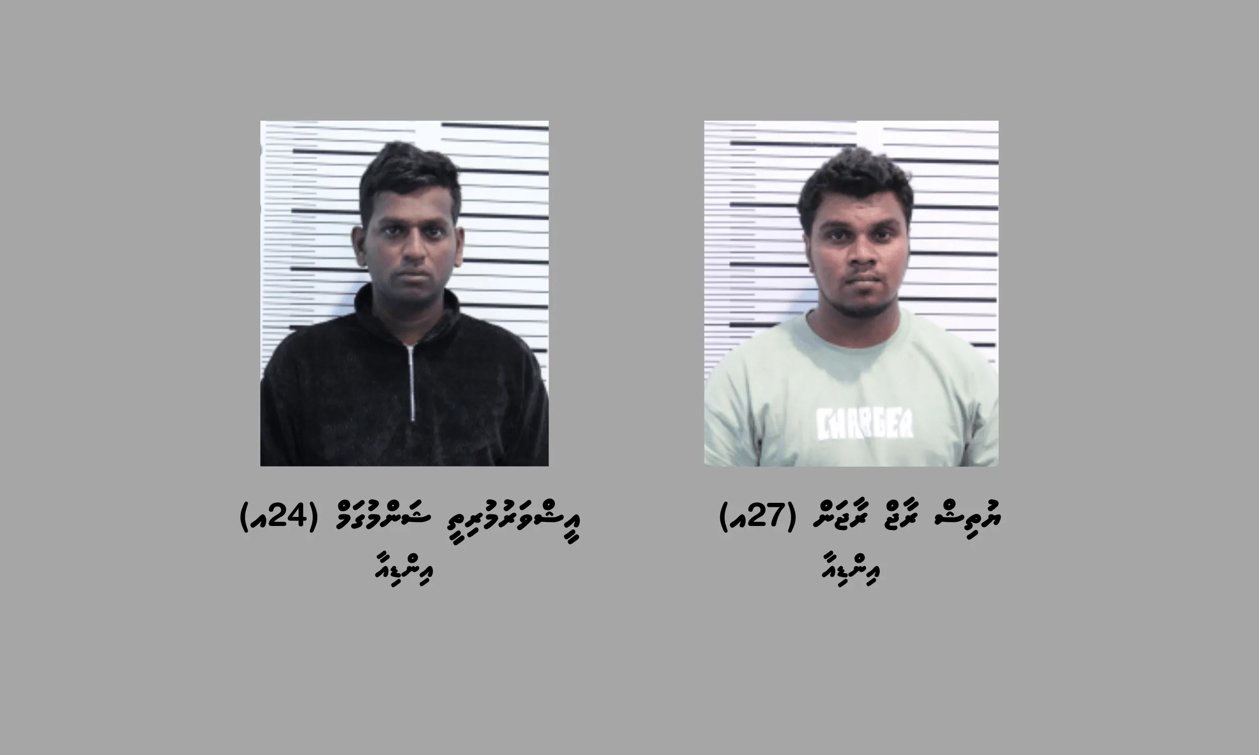 ހަ ކިލޯގެ މަސްތުވާތަކެތި އެތެރެކުރި އިންޑިއާ ދެމީހުން ހައްޔަރުކޮށްފި