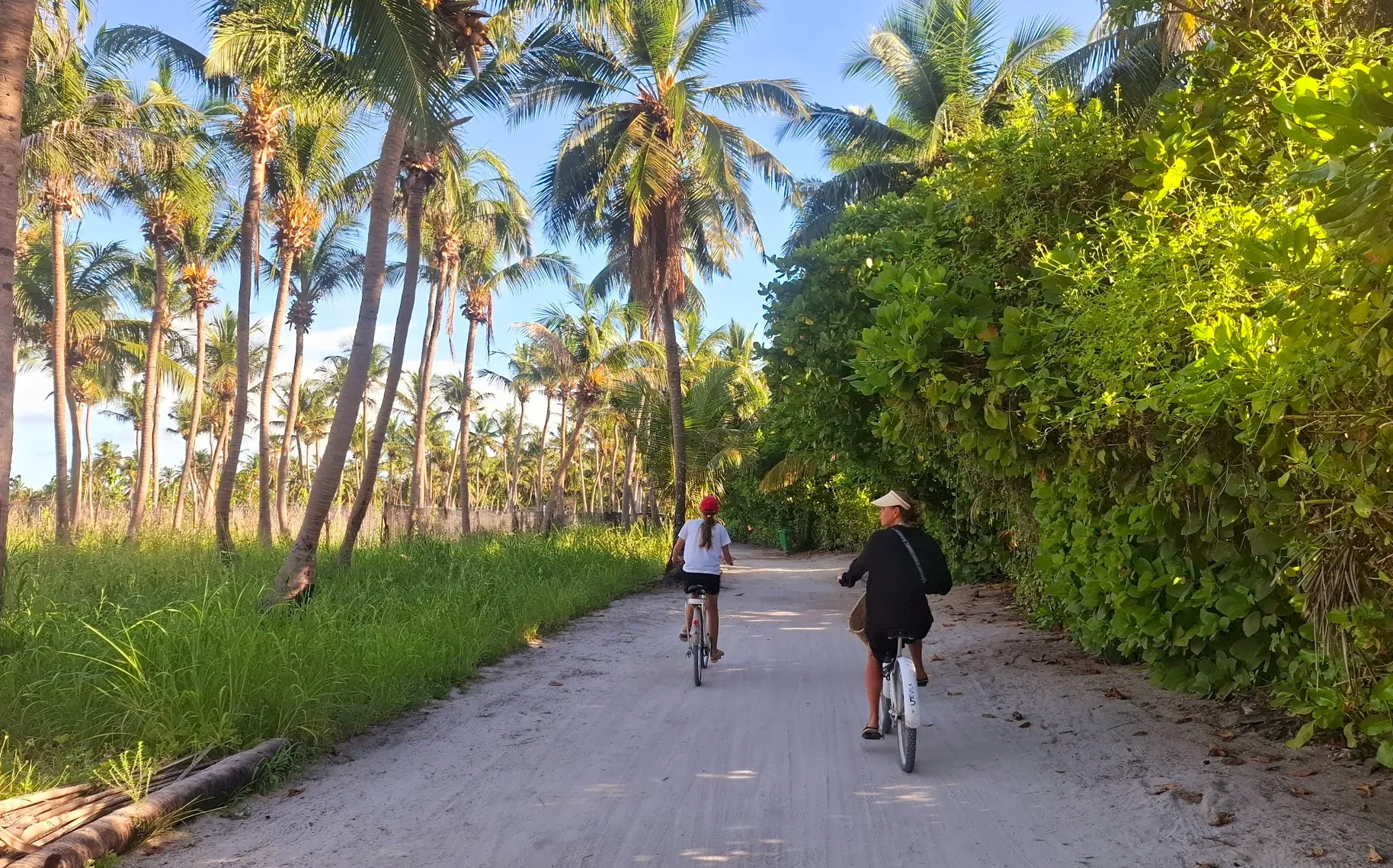 ގްރީން ޓެކްސްގެ ގޮތުގައި 204.8 މިލިއަން ޑޮލަރު ލިބިއްޖެ