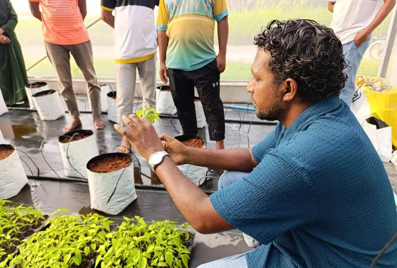 Training program for farmers in Sh. Narudhoo (Photo/ Agriculture Ministry)