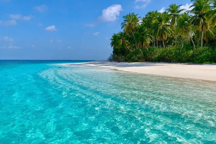 ކައުންސިލްތަކަށް 25 ފަޅުރަށެއް ދޫކޮށްލަނީ؛ ހޯދަން ބޭނުން ނަމަ ކުރިމަތި ލުމުގެ ފުރުސަތު ހުޅުވާލައިފި