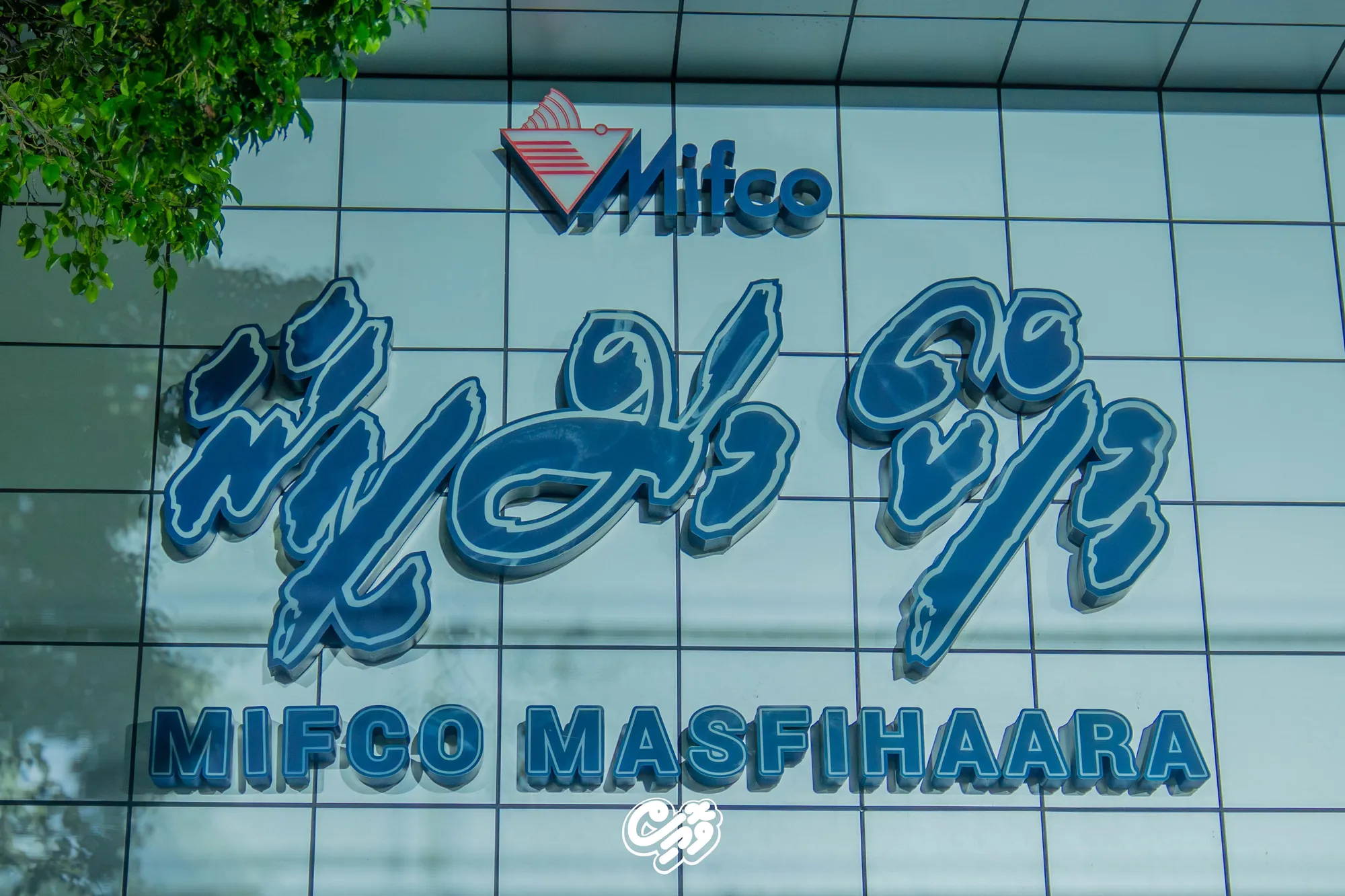 ސެޕްޓެމްބަރު މަހު މިފްކޯއަށް ކިރުވި މަހުގެ އަދަދު އޮގަސްޓާ އަޅައިބަލާއިރު ދަށަށް ހިނގައްޖެ