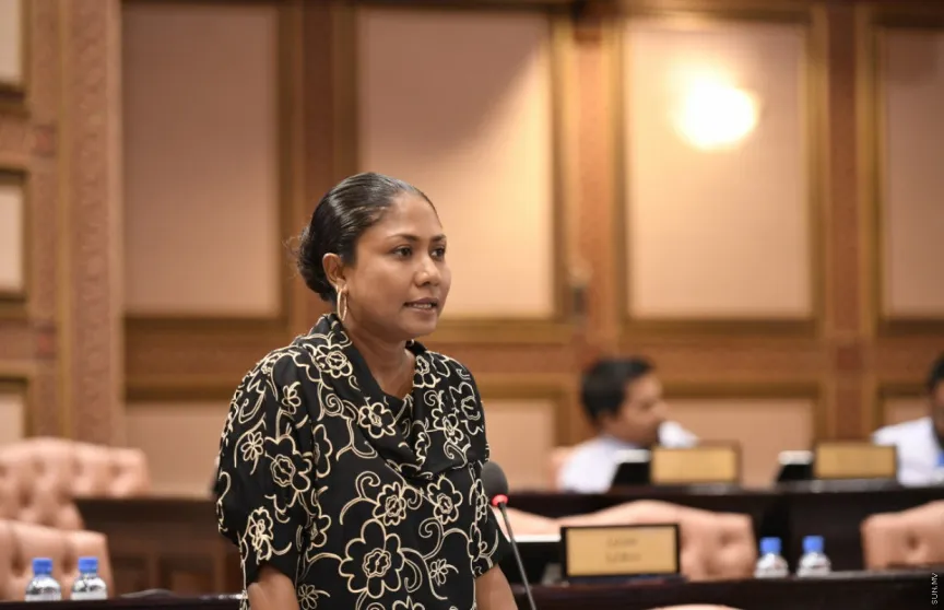 މަޖިލިސް އިންތިހާބުގައި ވާދަނުކުރައްވަން ހިސާން ނިންމަވައިފި