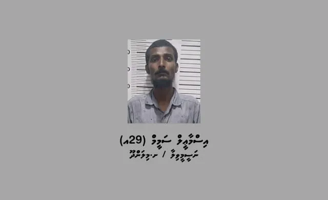ކޭބަލްތައް ބުރިކޮށް ވަގަށް ގެންދަނިކޮށް ހައްޔަރުކޮށްފި، ހަތް ގެއަކުން ކަރަންޓް ކެނޑުނު