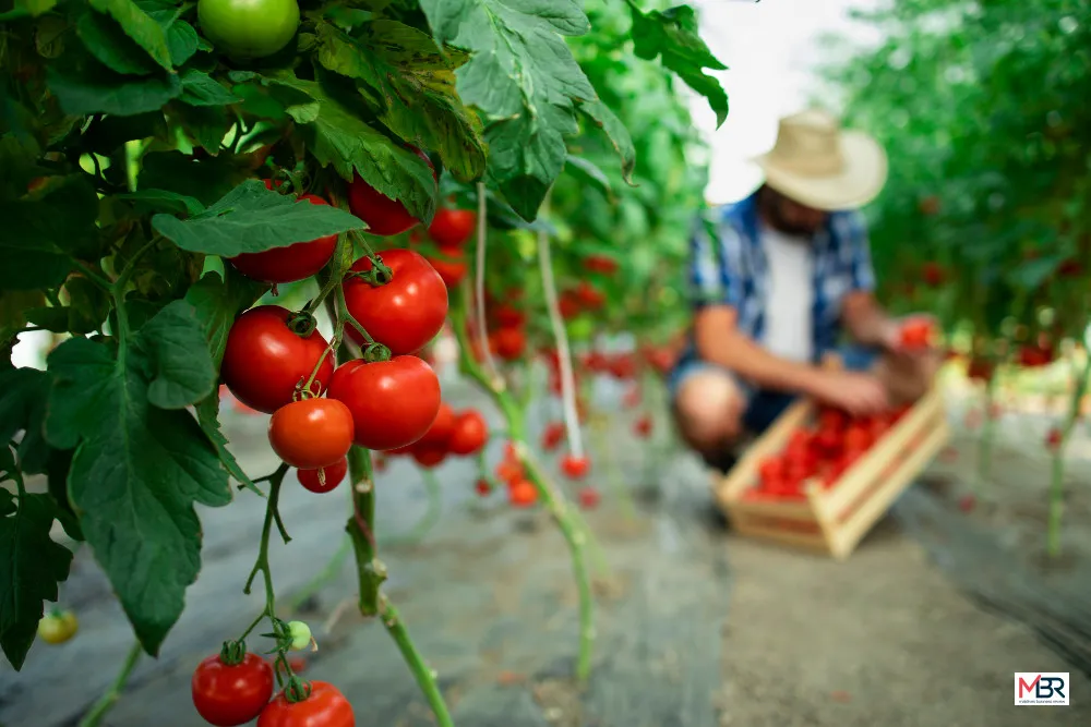 Gov’t, World Bank Launch Scholarships to Boost Agriculture Sector